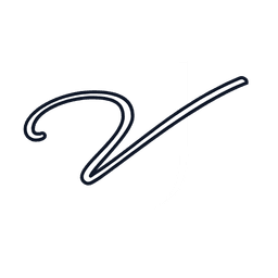 VelocityJewels logo